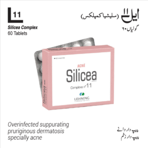 L 11 Silicea Complex