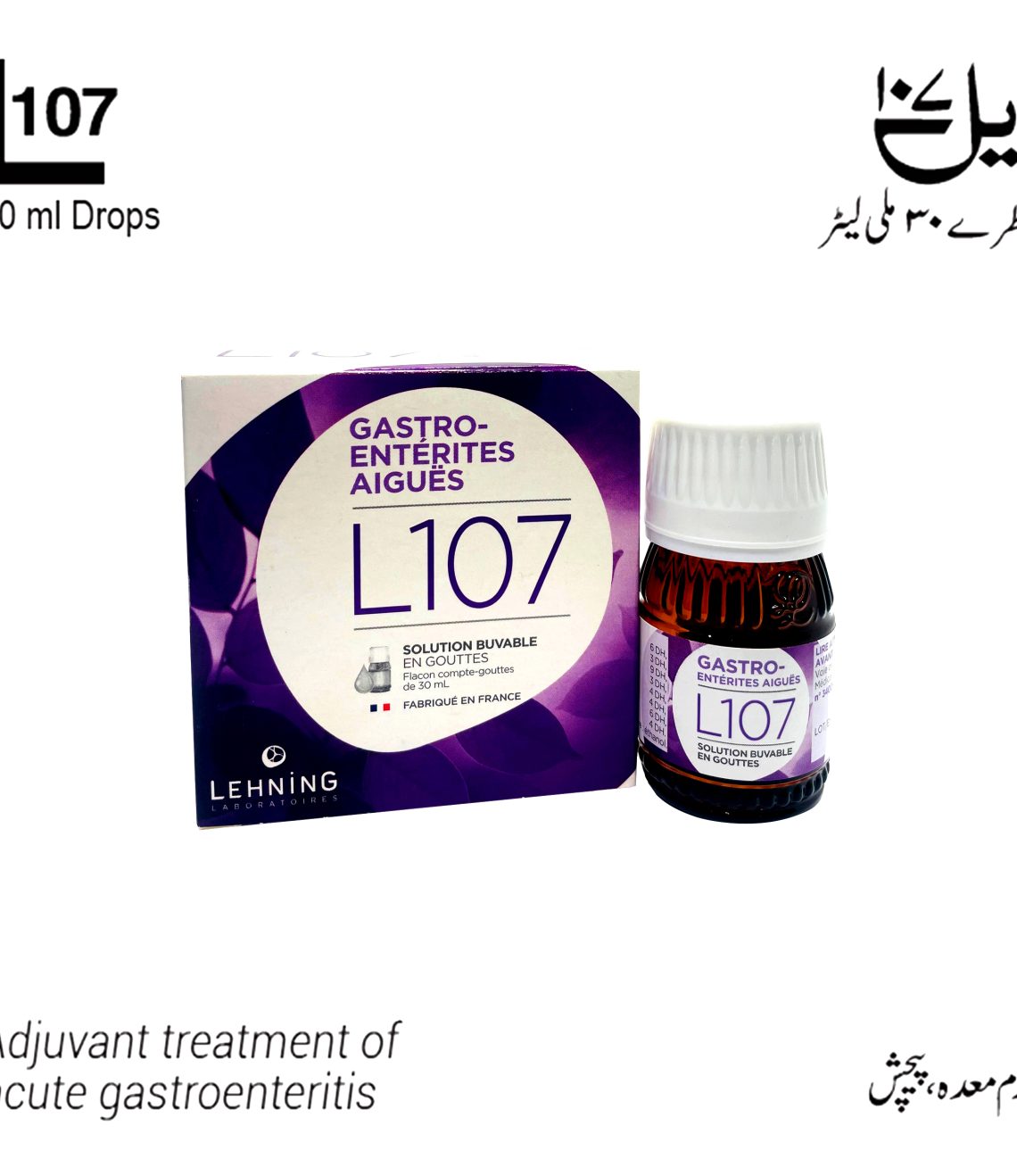 l-107-web